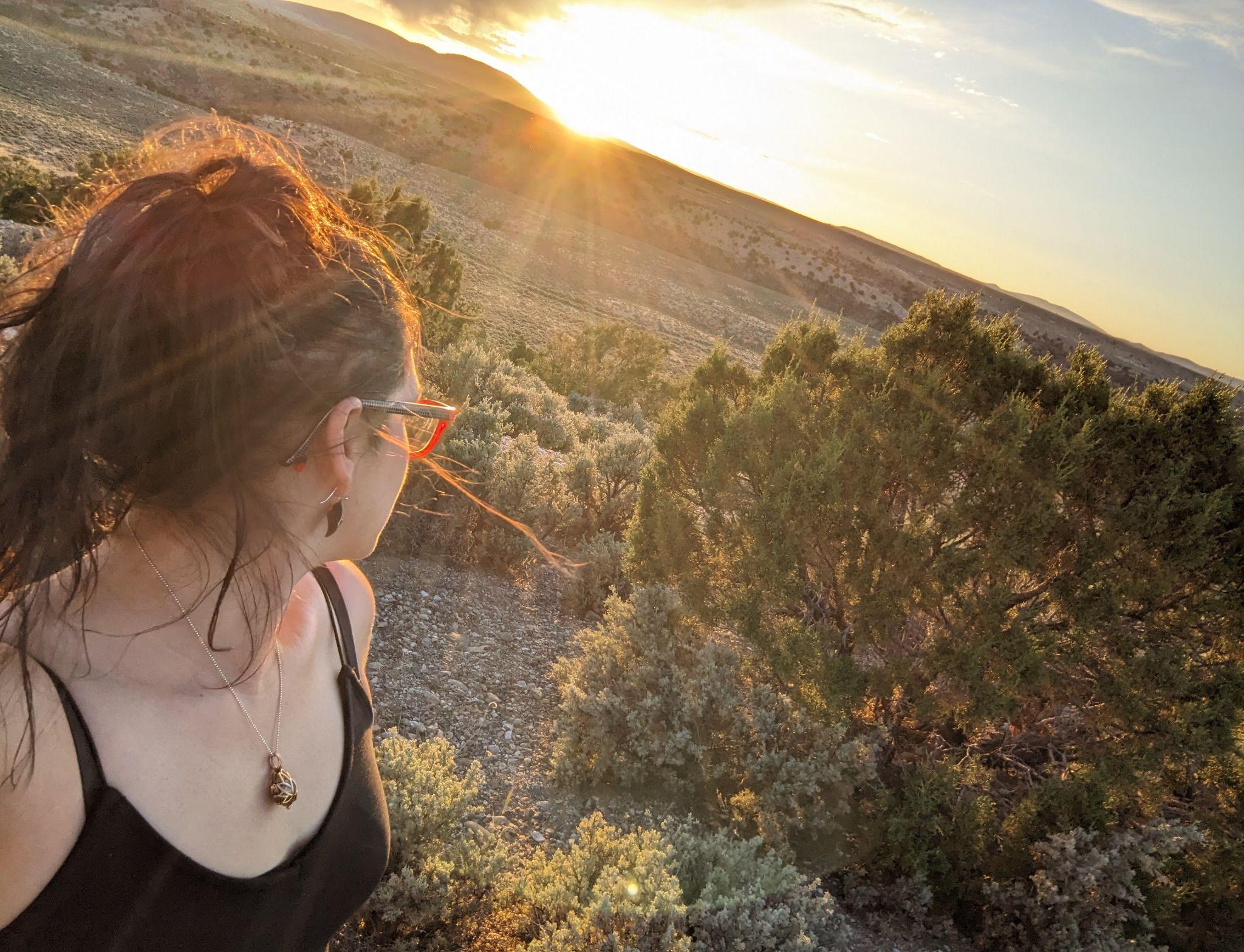 Coaching image from source document